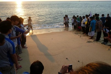 Making way for the baby turtles