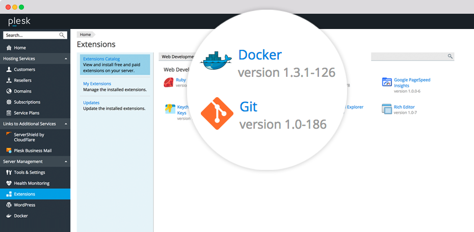 plesk vps for developer