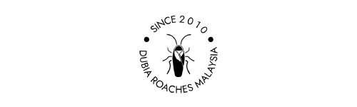 Dubia Roaches Malaysia